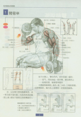 什么动作可以锻炼身体全部肌肉（什么动作可以锻炼身体全部肌肉）