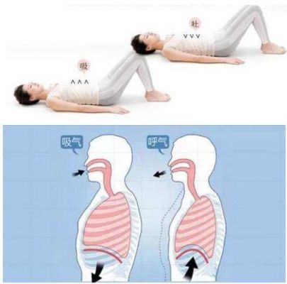 如何练腹侧肌（如何练腹侧肌和腹直肌）