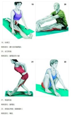 肌肉拉伸怎么做（肌肉拉伸的四种方法）