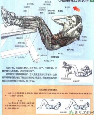 斜板仰卧起坐锻炼的是身体哪些部位（斜板仰卧起坐技巧）