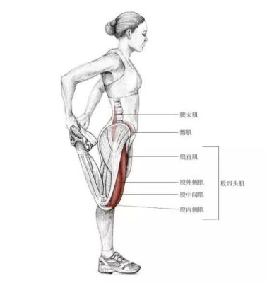 膝盖肌肉怎么拉伸（膝盖拉伸方法图解视频）