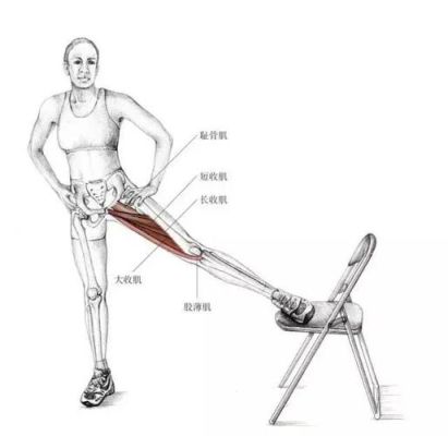 膝盖肌肉怎么拉伸（膝盖拉伸方法图解视频）