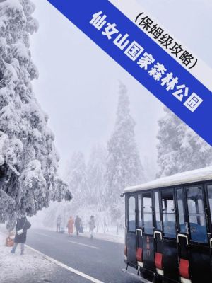 冬天仙女山穿旅游攻略（仙女山冬季旅游）