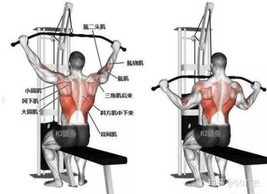 高位下拉可以练背部哪些肌肉（高位下拉练的什么肌肉）