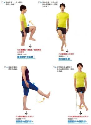 膝关节疼怎么练大腿肌肉（膝盖痛怎么练大腿肌肉）