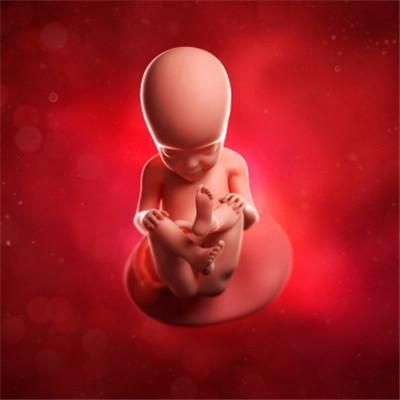 孕妇怀孕七个月胎儿图（怀孕七个月的胎儿图）