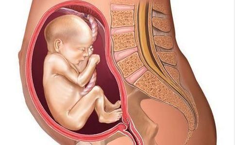 孕妇怀孕七个月胎儿图（怀孕七个月的胎儿图）