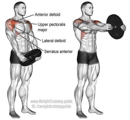 如何锻炼肩膀前束（如何锻炼肩膀前束肌肉）