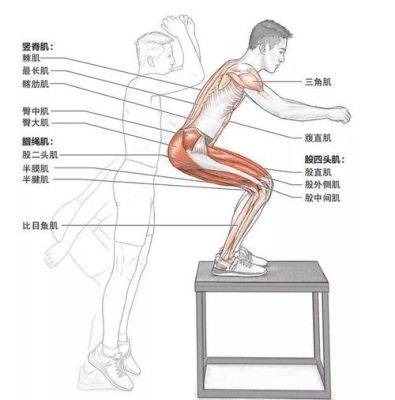 如何做腿部力量（如何进行腿部力量训练）