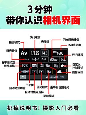 松相机怎么刷中文（panasonic相机app）