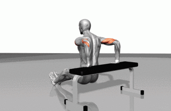 凳上反屈伸练哪里（凳上反向臂屈伸主要练到的肌肉是）