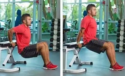 凳上反屈伸练哪里（凳上反向臂屈伸主要练到的肌肉是）