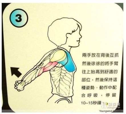 小学生怎么练手臂肌肉最快（小学生怎么练手臂肌肉最快视频）