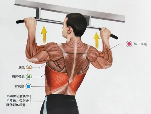 肩膀背部肌肉怎么练（肩部背部怎么练）