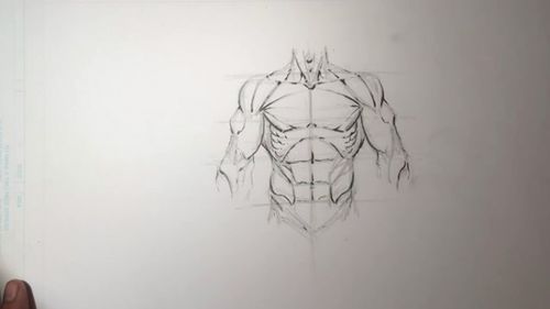 如何刻画肌肉线条（肌肉线条画法）